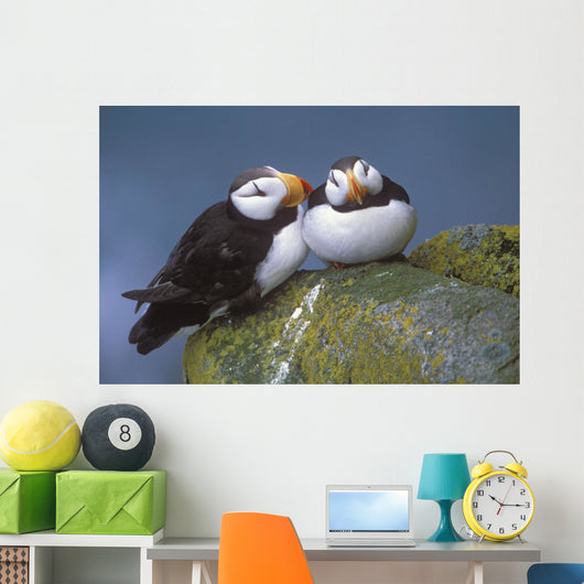 Horned Puffin Pair Perched On Ledge Wall Mural