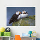 Horned Puffin Pair Perched On Ledge Wall Mural