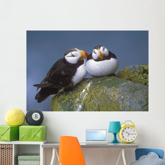 Horned Puffin Pair Perched On Ledge Wall Mural