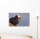 Tufted Puffin Perched On Rock Ledge Wall Mural