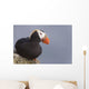 Tufted Puffin Perched On Rock Ledge Wall Mural