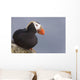 Tufted Puffin Perched On Rock Ledge Wall Mural