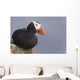 Tufted Puffin Perched On Rock Ledge Wall Mural