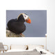 Tufted Puffin Perched On Rock Ledge Wall Mural