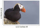 Tufted Puffin Perched On Rock Ledge Wall Mural
