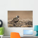 American Golden-Plover Stands On Tundra Of The Arctic Coastal Plain Wall Mural