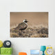American Golden-Plover Stands On Tundra Of The Arctic Coastal Plain Wall Mural