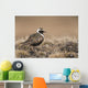 American Golden-Plover Stands On Tundra Of The Arctic Coastal Plain Wall Mural