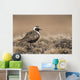 American Golden-Plover Stands On Tundra Of The Arctic Coastal Plain Wall Mural