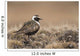 American Golden-Plover Stands On Tundra Of The Arctic Coastal Plain Wall Mural