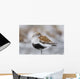 Dunlin Roosting With Western Sandpipers On Mudflats Of Hartney Bay Wall Mural