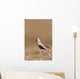 Dunlin Standing Wall Mural