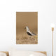 Dunlin Standing Wall Mural