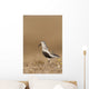 Dunlin Standing Wall Mural