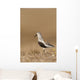 Dunlin Standing Wall Mural