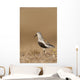 Dunlin Standing Wall Mural