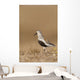 Dunlin Standing Wall Mural