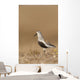 Dunlin Standing Wall Mural