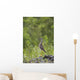 Greater Yellowlegs Standing Alert On Copper River Delta Near Cordova Wall Mural