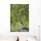 Greater Yellowlegs Standing Alert On Copper River Delta Near Cordova Wall Mural