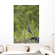 Greater Yellowlegs Standing Alert On Copper River Delta Near Cordova Wall Mural