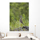 Greater Yellowlegs Standing Alert On Copper River Delta Near Cordova Wall Mural