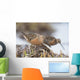 Long-Billed Dowitchers Feeding In Marsh On Copper River Delta Wall Mural