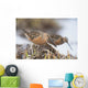 Long-Billed Dowitchers Feeding In Marsh On Copper River Delta Wall Mural