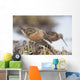 Long-Billed Dowitchers Feeding In Marsh On Copper River Delta Wall Mural