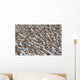 Large Flock Of Western Sandpipers Wall Mural