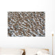 Large Flock Of Western Sandpipers Wall Mural