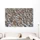 Large Flock Of Western Sandpipers Wall Mural