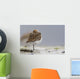Western Sandpiper Roosting Wall Mural