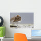 Western Sandpiper Roosting Wall Mural