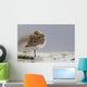 Western Sandpiper Roosting Wall Mural