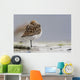 Western Sandpiper Roosting Wall Mural