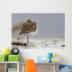 Western Sandpiper Roosting Wall Mural