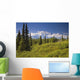 Mt Mckinley And The Alaska Range Wall Mural