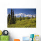 Mt Mckinley And The Alaska Range Wall Mural
