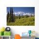 Mt Mckinley And The Alaska Range Wall Mural