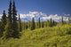 Mt Mckinley And The Alaska Range Wall Mural