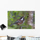 Chestnut-Backed Chickadee Perched On A Spruce Branch Wall Mural