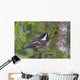 Chestnut-Backed Chickadee Perched On A Spruce Branch Wall Mural