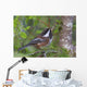 Chestnut-Backed Chickadee Perched On A Spruce Branch Wall Mural