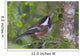 Chestnut-Backed Chickadee Perched On A Spruce Branch Wall Mural
