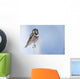 Northern Hawk Owl Perched On Snag On Copper River Delta Wall Mural