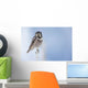 Northern Hawk Owl Perched On Snag On Copper River Delta Wall Mural