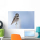 Northern Hawk Owl Perched On Snag On Copper River Delta Wall Mural