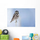 Northern Hawk Owl Perched On Snag On Copper River Delta Wall Mural