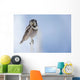 Northern Hawk Owl Perched On Snag On Copper River Delta Wall Mural